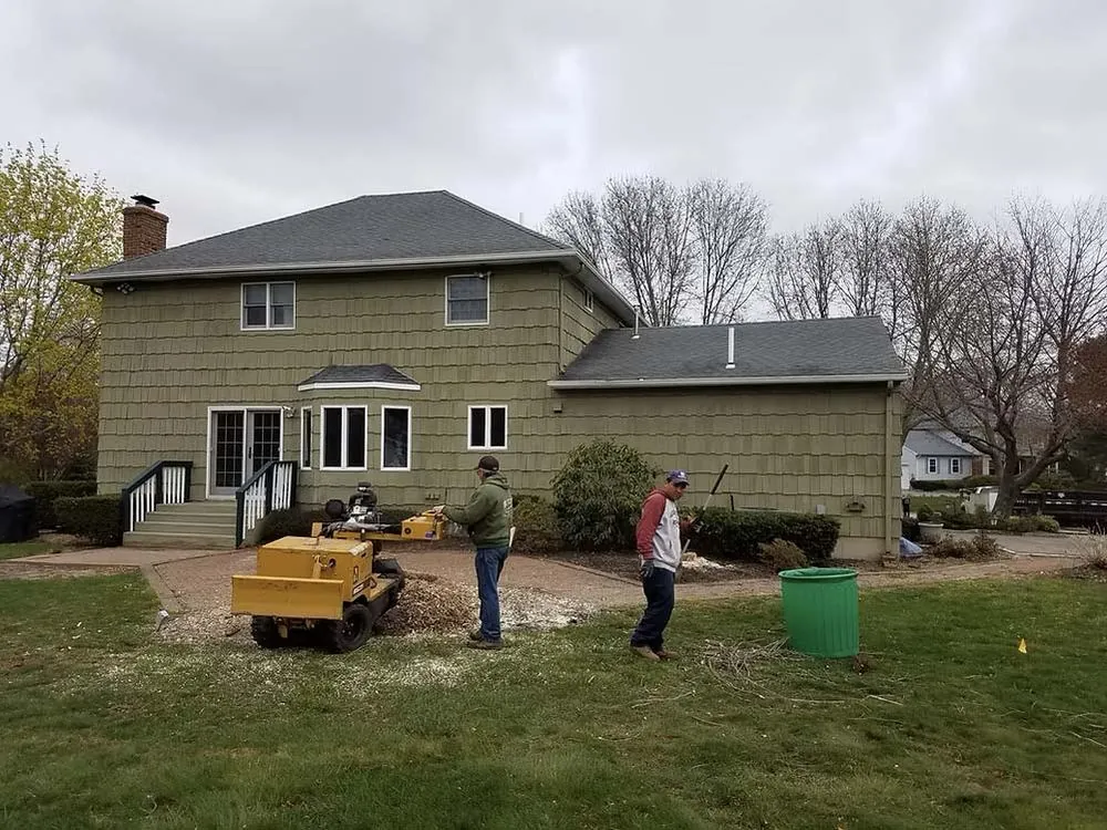 Two workers running a stump grinder in a backyard